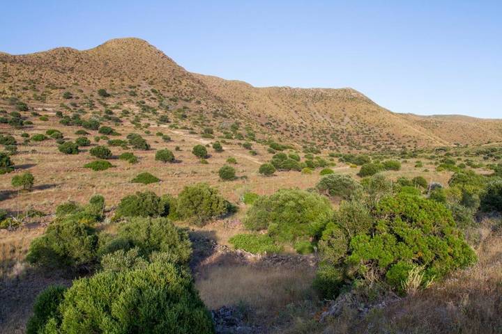Casa rural para 2 personas, con vistas y jardín, Se admiten mascotas en Provincia de Almería - 4