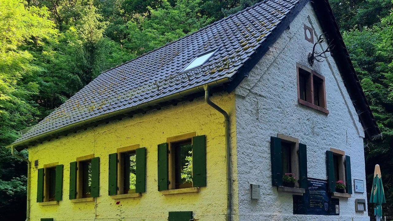 Ganze Ferienwohnung, Ferienwohnung für 4 Personen (70 m²) in Neustadt in Deidesheim, Deutsche Weinstraße