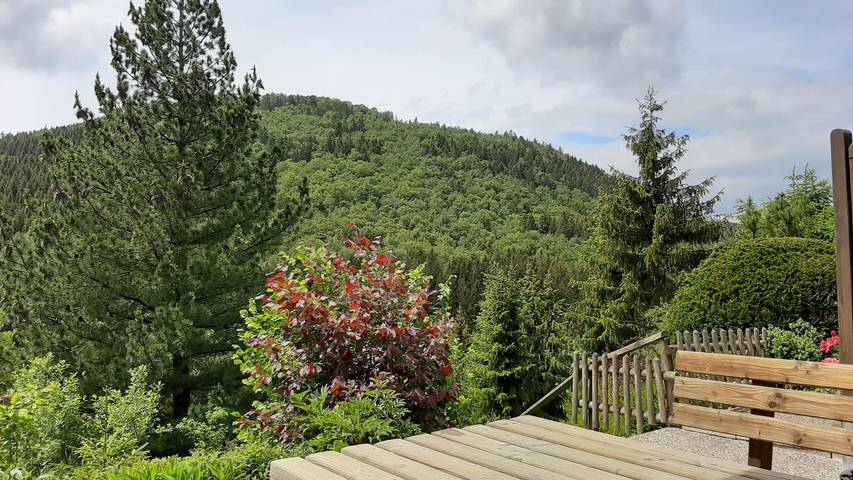 Ferienhaus für 4 Personen, mit Garten in Winterberg - 2