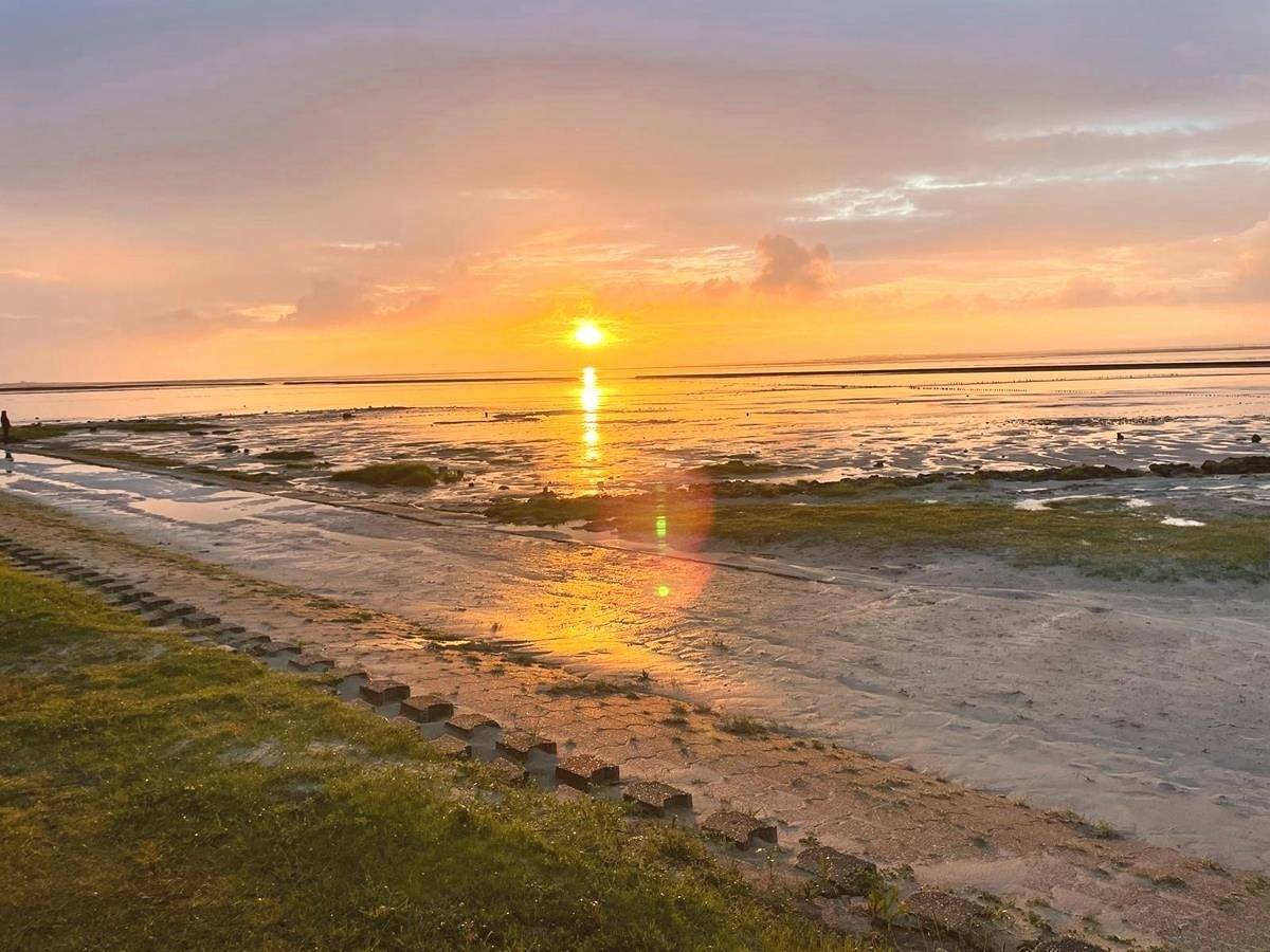 Ferienwohnung Zwergpinscher in Dornumergrode, Dornum