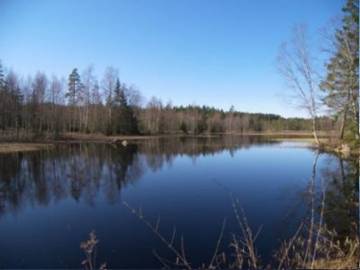 Luxus-ferienhaus für 8 Personen in Smaland, Südschweden, Bild 1