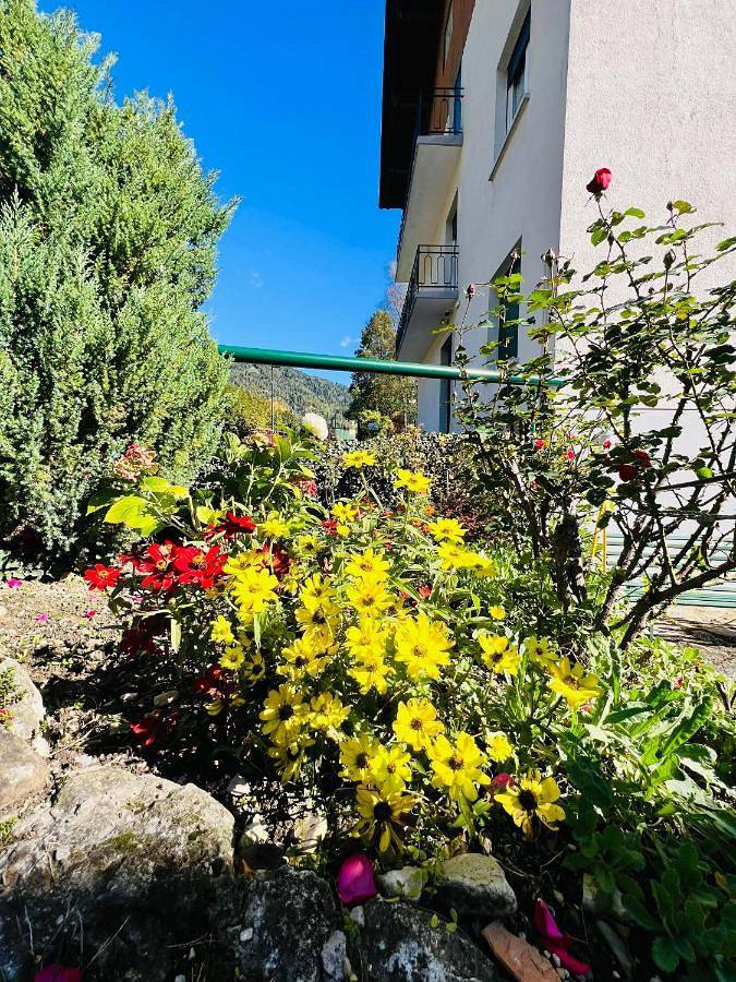 Gîte pour 3 personnes, avec Terrasse ainsi que Jardin et Vue à Transacqua - 2