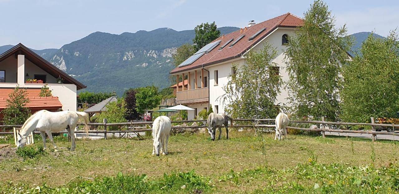 Lipizzaner Lodge Guest House in Postojna, Innerkrain-Karst