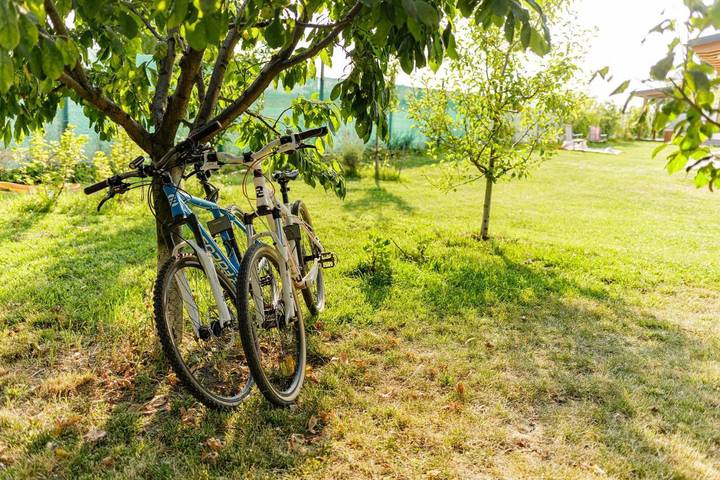 Location de vacances pour 4 personnes, avec jardin et vue dans Giurgiu - 4