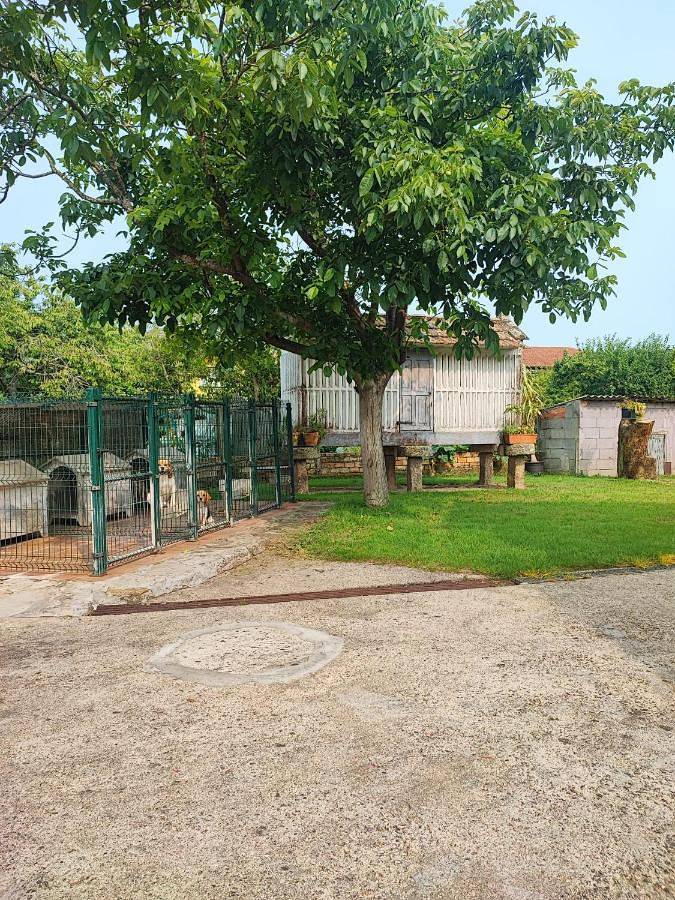 Casa rural para 8 personas, con Terraza y Jardín en Vigo - 4