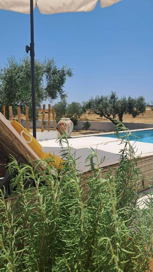 Location de vacances pour 2 personnes, avec jardin ainsi que vue et piscine à Castro Verde - 2