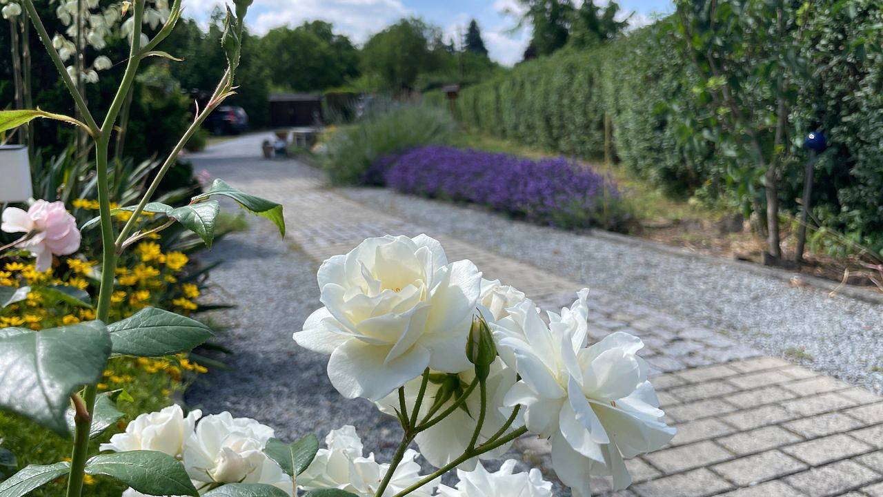 Ferienhaus für 4 Personen (75 m²) in Bautzen in Bautzen, Oberlausitz Niederschlesien