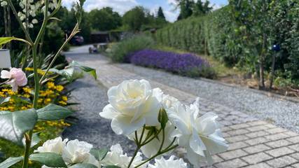 Ferienhaus für 4 Personen in Bautzen, Oberlausitz Niederschlesien, Bild 4