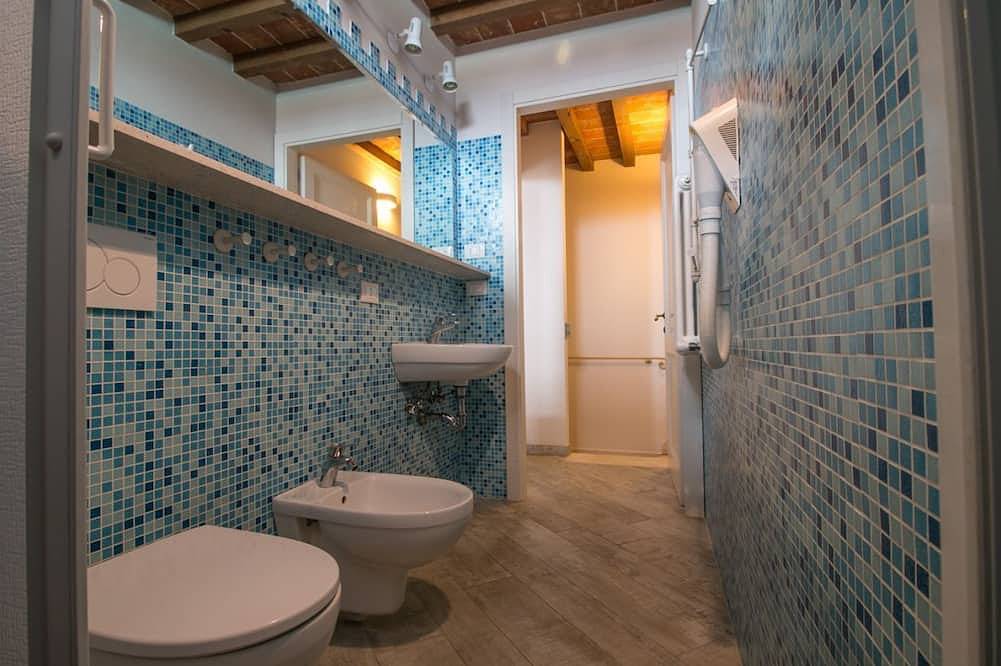 Appartamento intero, Fattoria Palazzeta terratetto bilocale su 2 livelli in Mazzanta, Costa degli Etruschi