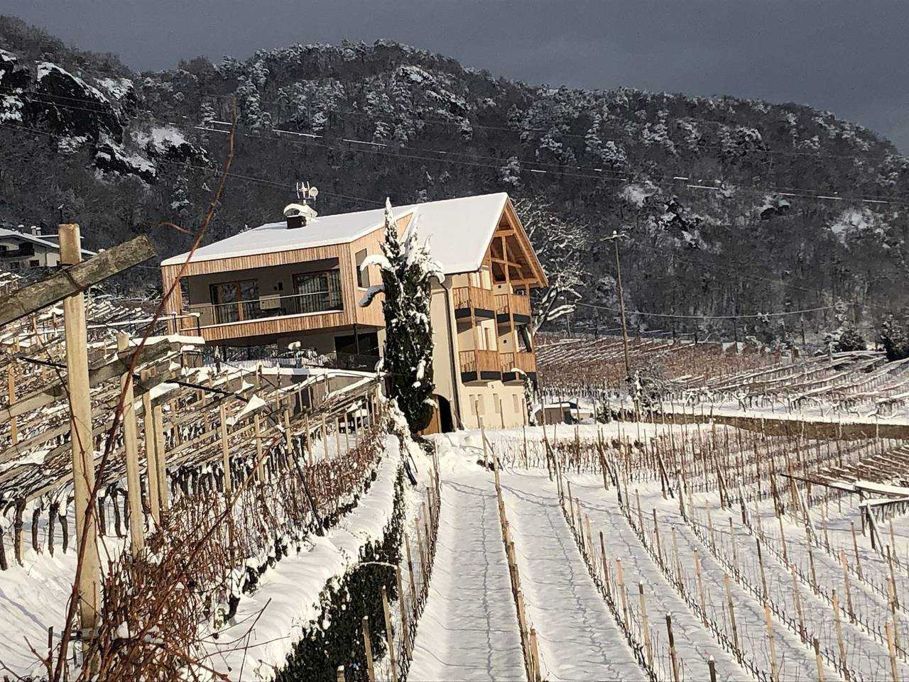 Ganze Wohnung, Aromis Apartments - Thymus in Söll (Tramin), Tramin an der Weinstraße