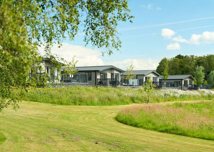Glamping for 4 people in Wiltshire