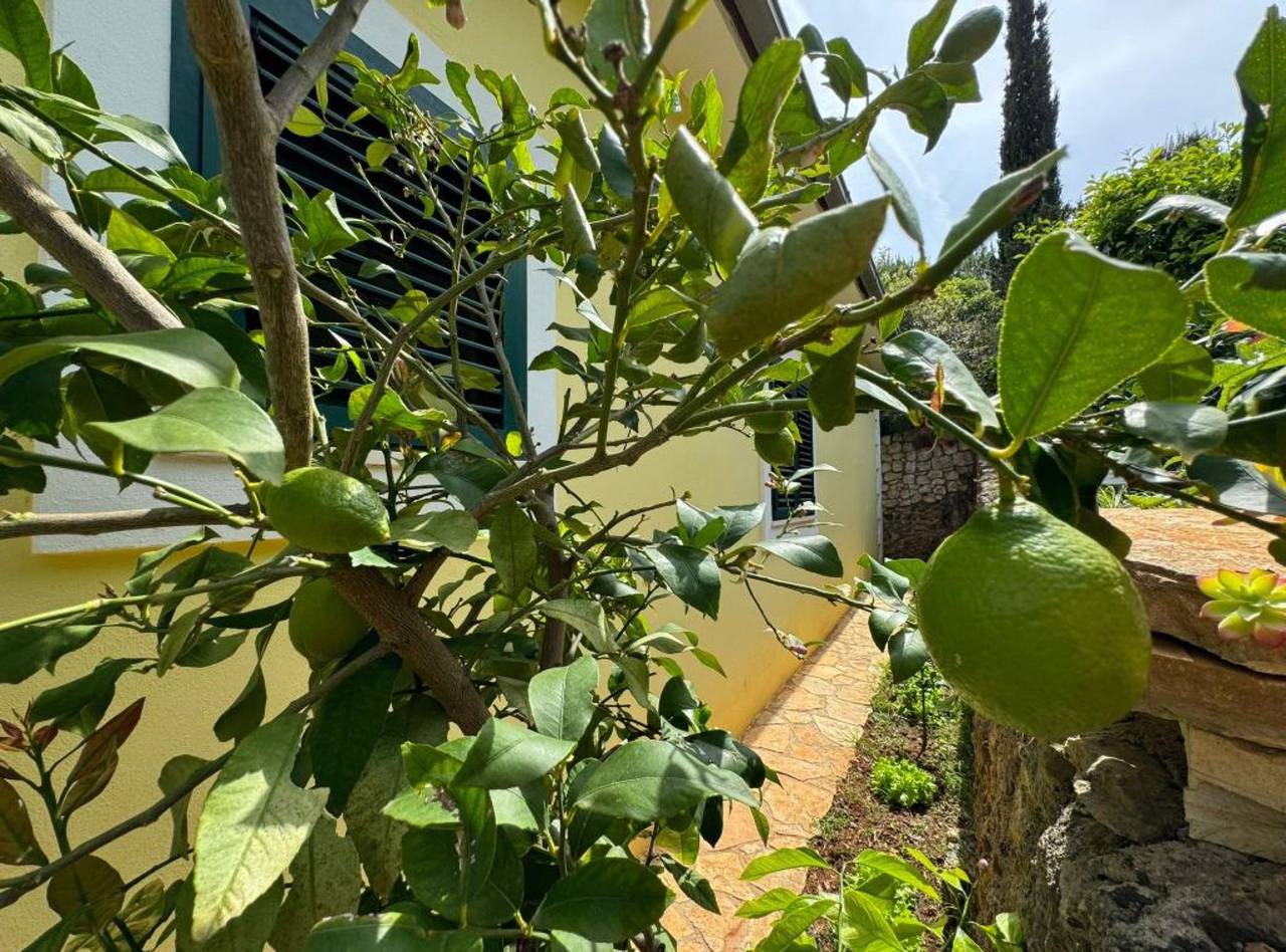 Apartamento entero, Family Apartment Sofija - Three Bedroom Apartment with Terrace in Ugljan, Isla de Ugljan