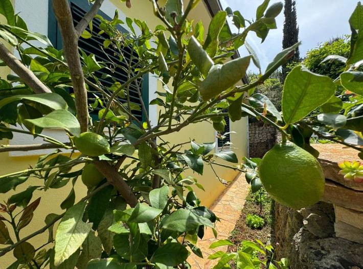Apartamento entero, Family Apartment Sofija - Three Bedroom Apartment with Terrace in Ugljan, Isla de Ugljan