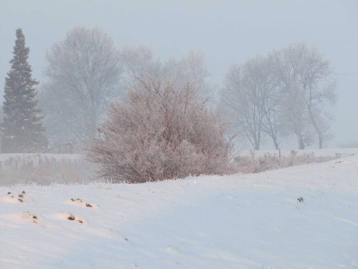 Ferienwohnung für 5 Personen, mit Pool und Garten in Ostrhauderfehn - 2