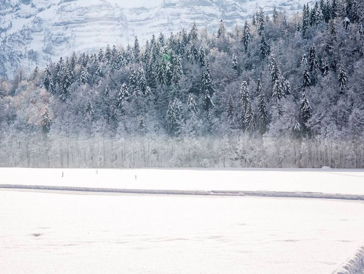 Biohotel Schwanen - Schwanen I in Bizau, Bregenzerwald