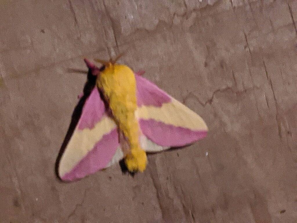 Hocking Hills,Cozy Secluded Cabin,Minutes to Caves/Wifi/Pet Friendly! in Hocking Hills