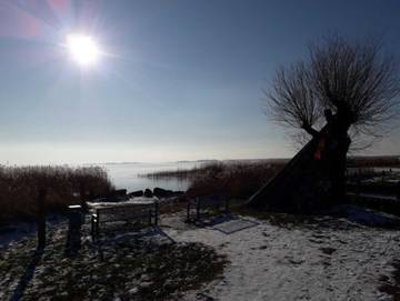 Bungalow für 3 Personen in Zempin, Ostseeinseln, Bild 1