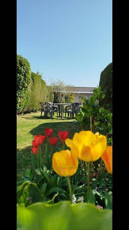 Location de vacances pour 5 personnes, avec terrasse à Samer - 2