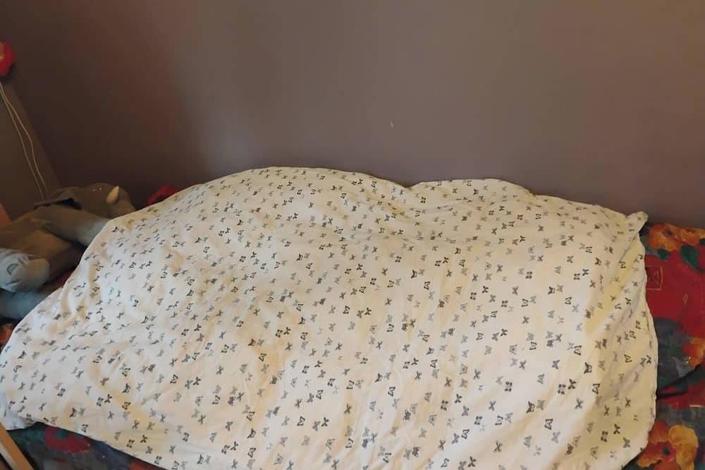 Acogedora habitación pequeña cerca del bosque y la ciudad in Nordre Aker, Oslo