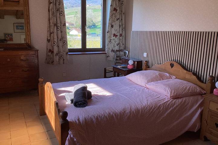Location de vacances pour 9 personnes, avec terrasse, animaux acceptés à Les Marches - 4