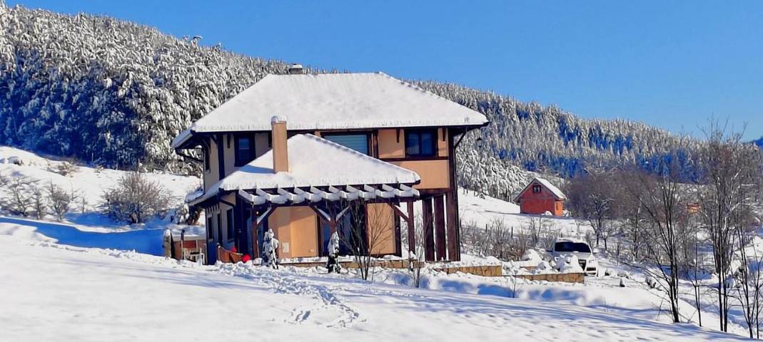 Location de vacances pour 4 personnes, avec vue ainsi que piscine et jardin à Kosjerić - 4