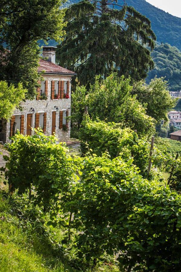 Casa vacanza per 7 persone, con giardino e idromassaggio - 1