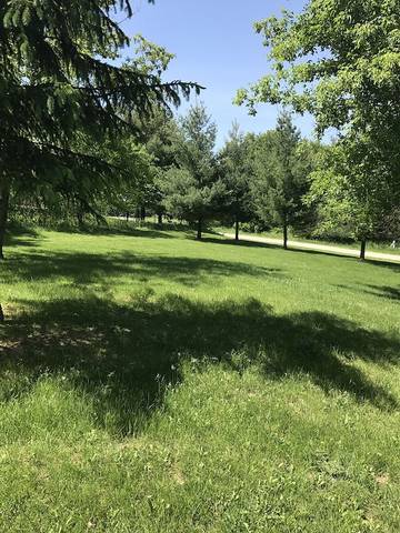 Vacation House for 14 Guests in Illinois, USA, Picture 4