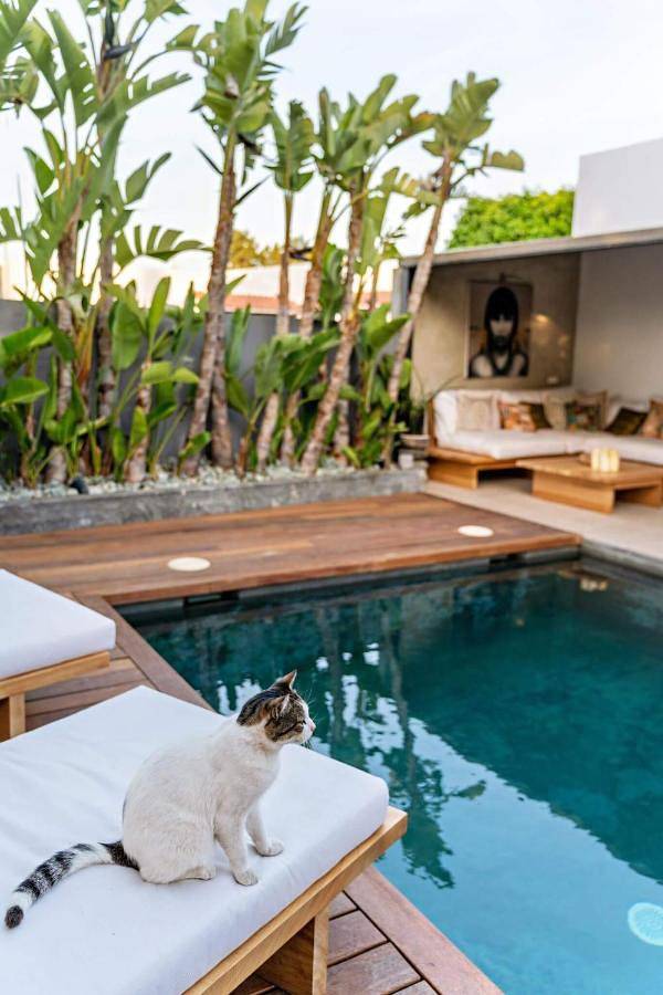 Chalet para 4 personas, con jardín y piscina además de jacuzzi y sauna en Ibiza - 4