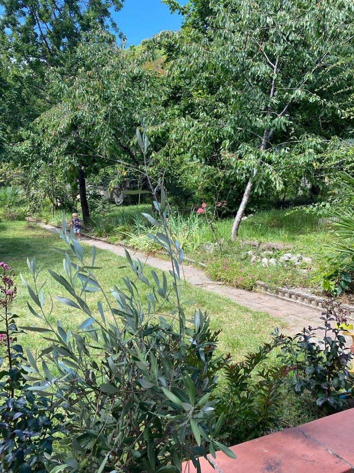 Chambre d’hôte pour 4 personnes, avec jardin dans le Tarn-et-Garonne - 3