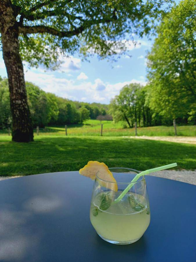 Location de vacances pour 6 personnes, avec jardin et vue à Saint-Chamarand - 2