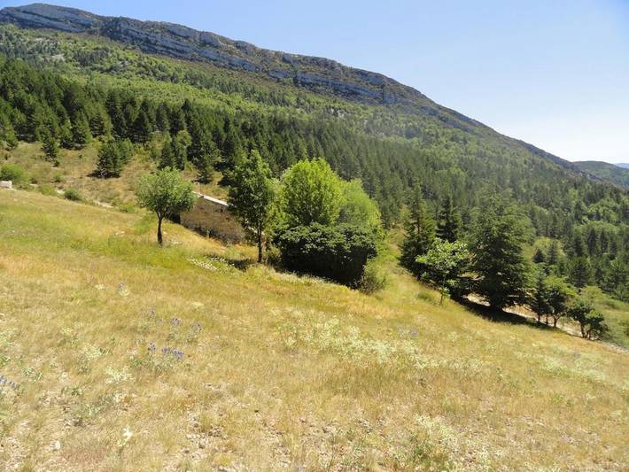 Location de vacances pour 2 personnes, avec terrasse ainsi que sauna et jacuzzi, animaux acceptés à Rémuzat - 4