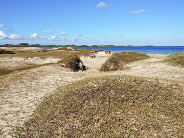 Ferieudlejning til 8 Personer i Havnsø, Nordwestseeland, Billede 4
