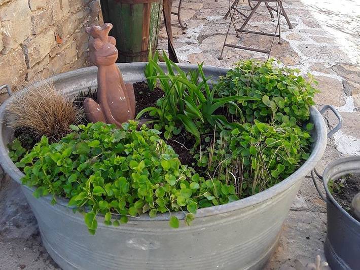 Ferienwohnung für 4 Personen, mit Balkon/Terrasse und Balkon sowie Terrasse und Garten in Franken - 3