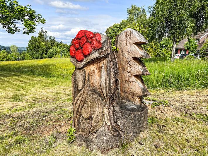 Ferienwohnung für 3 Personen, mit Terrasse und Sauna sowie Garten in Höchenschwand - 4