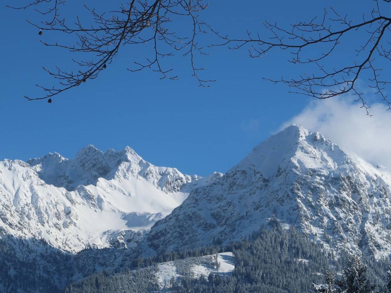 Ganzes Studio, Allgäuer Bergblick - Ferienwohnung 11 - Hörnergruppe in Fischen, Bayerisch Schwaben