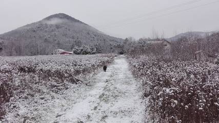 Vacation Home for 10 Guests in Green Mountain National Forest, Vermont, Picture 4
