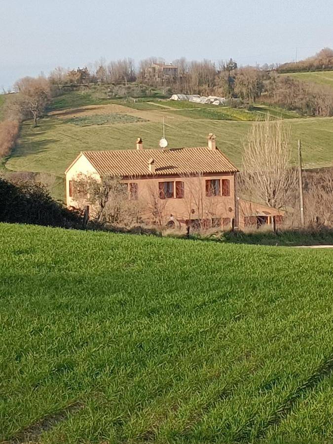 Double Room with Pool View in San Costanzo, Valle del Metauro