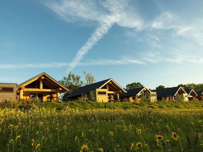Chalet für 4 Personen, mit Ausblick und Garten sowie Sauna in Mecklenburgische Seenplatte - 2