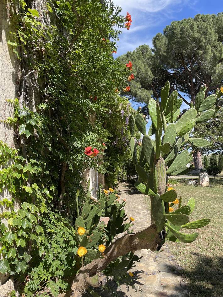 Côté Jardin in Maraussan, Côte méditerranéenne (France)