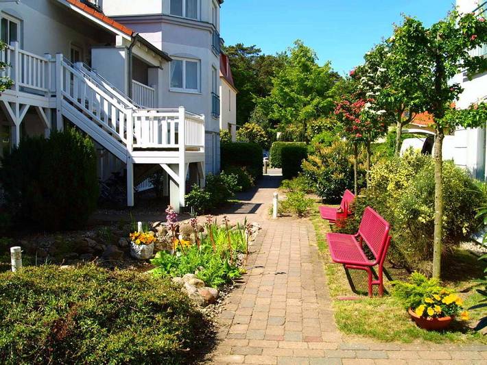 Ferienhaus für 3 Personen, mit Terrasse und Sauna in Kühlungsborn - 2