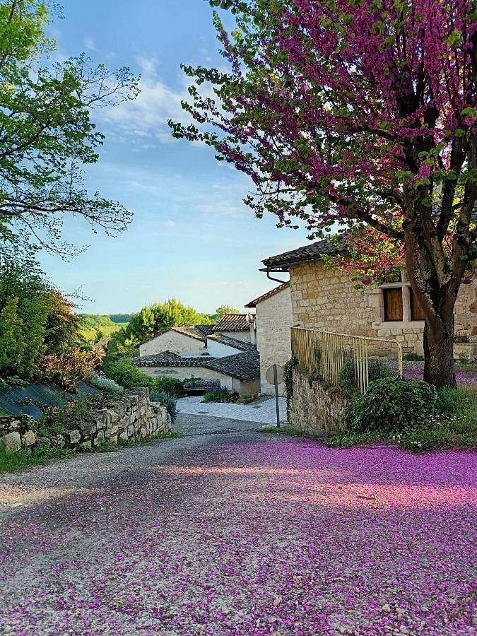 Charmante maison de village du 13ème siècle in Cestayrols, Région d'Albi