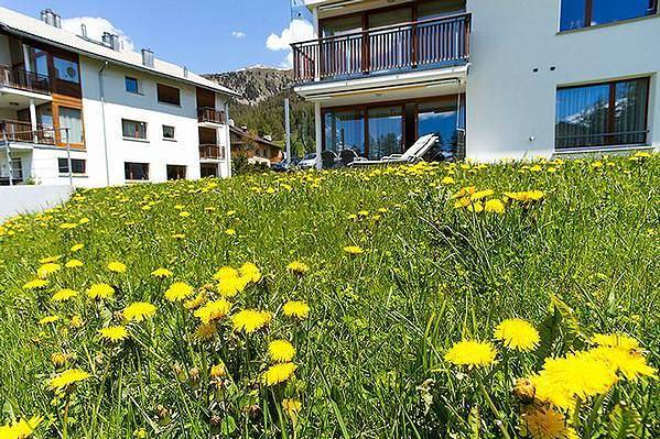 Ferienwohnung für 2 Personen, mit Terrasse und Garten in Pontresina - 4
