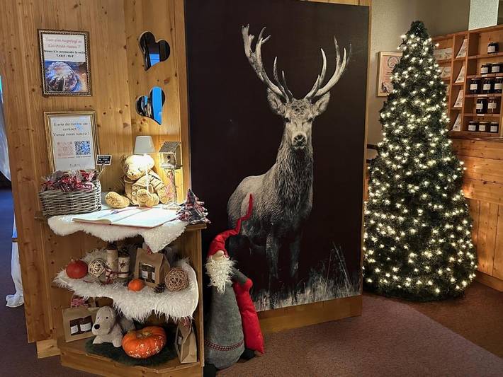 Hôtel pour 2 personnes, avec jacuzzi et terrasse ainsi que sauna et piscine, animaux acceptés à Hohrod - 3