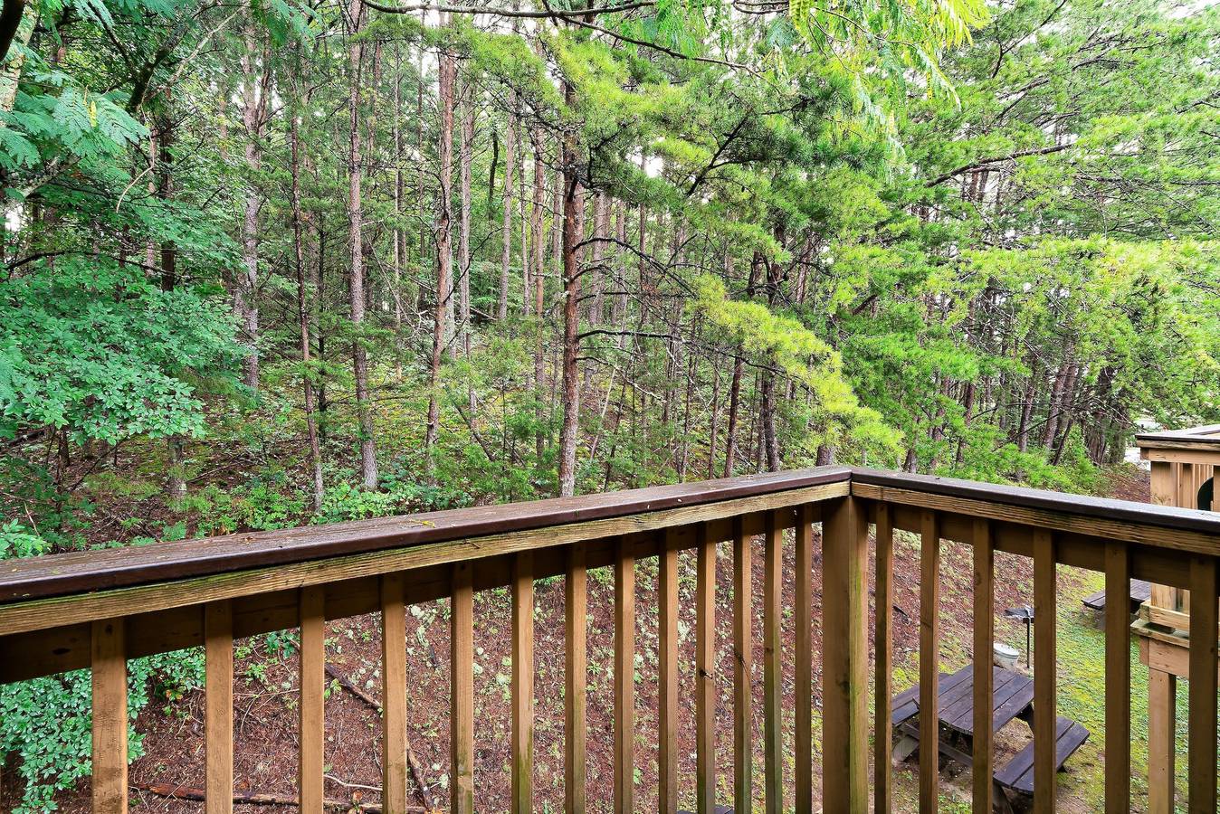 Ganze Wohnung, Mountain Meadows Resort in Pigeon Forge, Sevier County