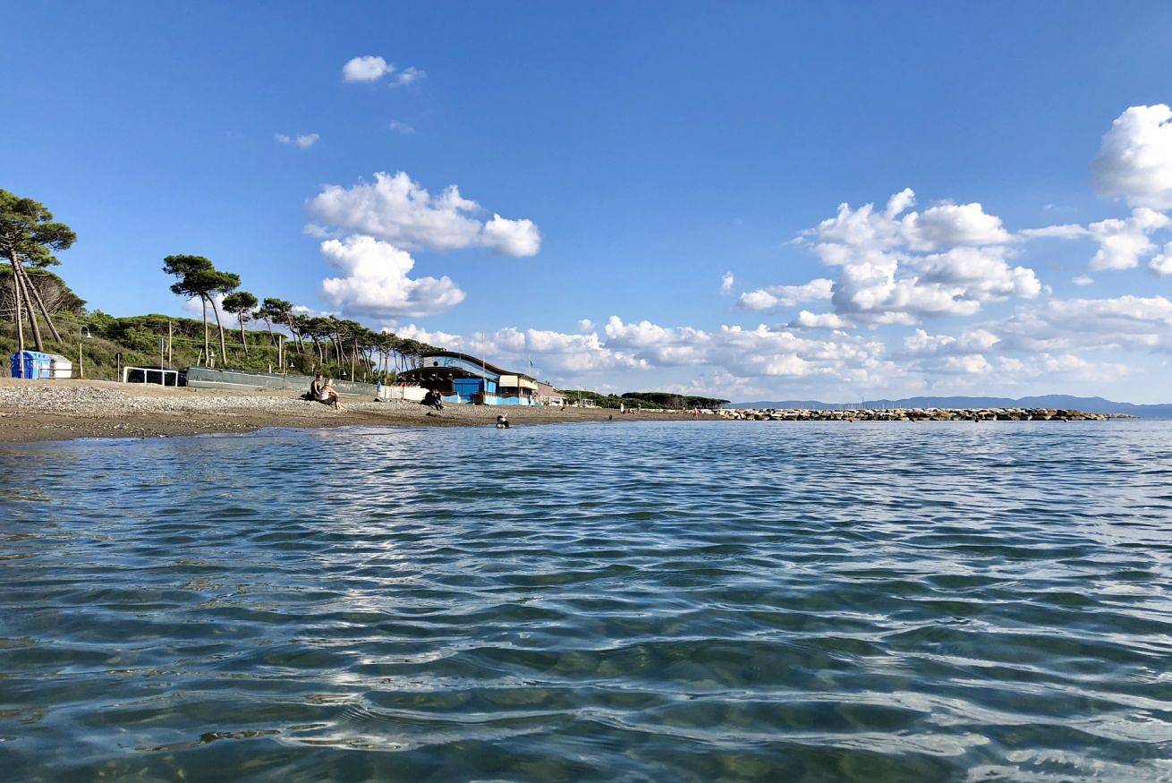 Ganze Wohnung, Podere Morena privater Terrasse mit Meerblick Wohnung Gregor in Guardistallo, Etruskische Küste