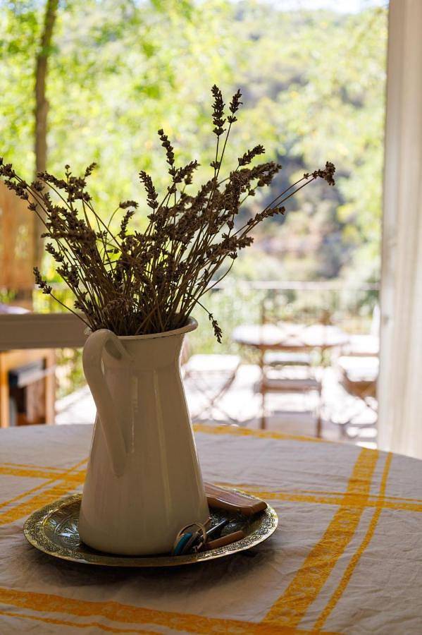 Gîte pour 6 personnes, avec piscine ainsi que jardin et vue à Uchaux - 4