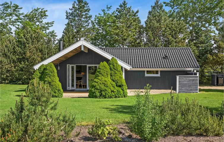 Ferienhaus für 5 Personen, mit Terrasse und Sauna, mit Haustier in Skaven Strand - 4