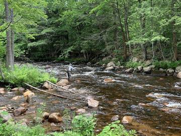 Log Cabin for 3 Guests in Adirondack Mountains, New York State, Picture 4