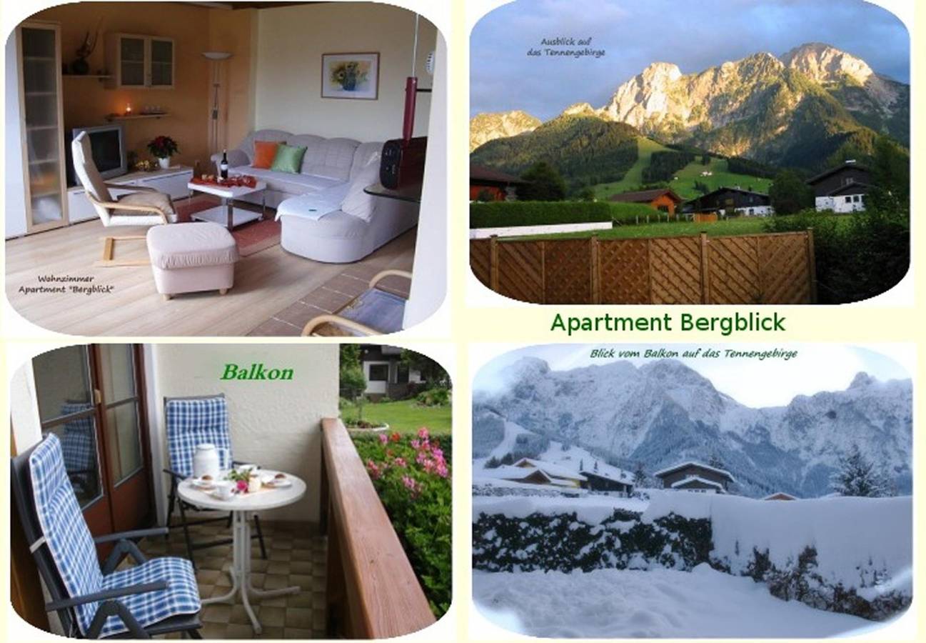 Ganze Ferienwohnung, Apartment"Bergblick"/1 Schlafraum/Dusche, Wc Nr. 2 in Abtenau, Tennengau