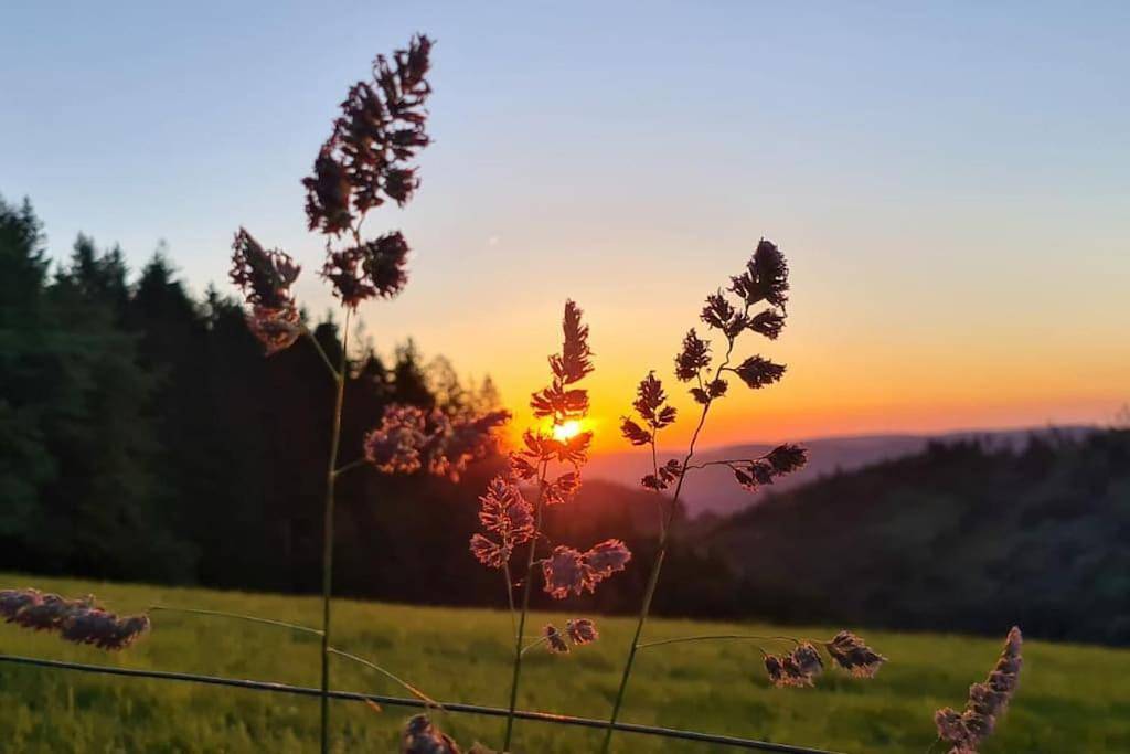 Gite l'Échapée Belle dans les Vosges in Aydoilles, Région d'Épinal